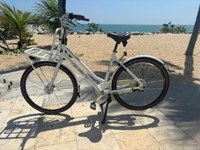 Bicicleta Feminina, Gazelle 'Miss Grace'