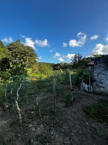 Vendo sítio , pov.tejupeba em nova descoberta, itaporanga d?Ajuda -se