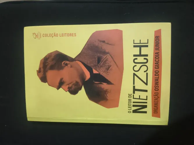 O leitor de Nietzsche 