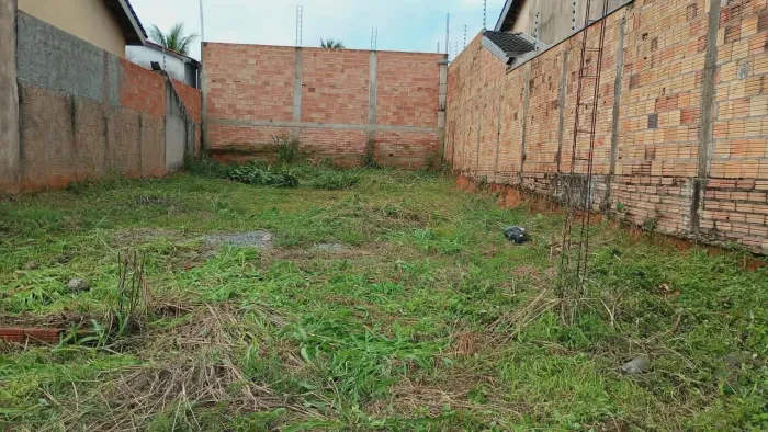 Vendo ágil de lote