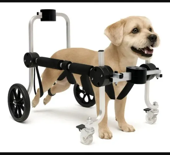 Cadeira de 4 Rodas para Cachorro