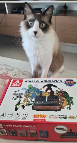 Atari Flashback X