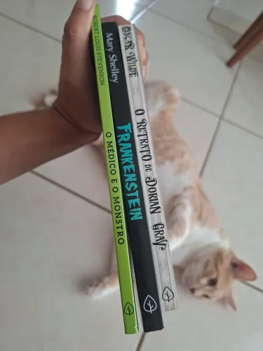 Qualquer livro 15 reais - os 3 por 40