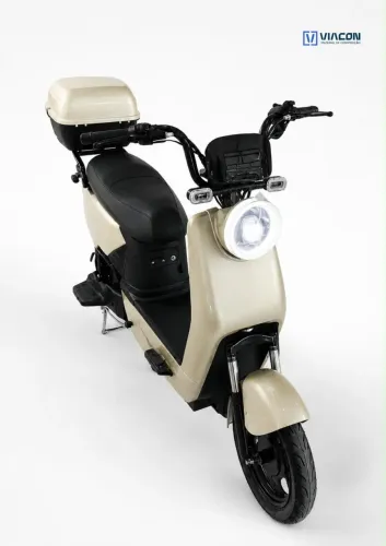 Scooter elétrica, ecoozom