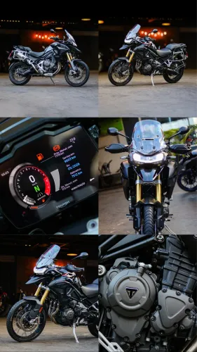 Tiger BLACK Edition 