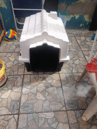 Casinha de cachorro