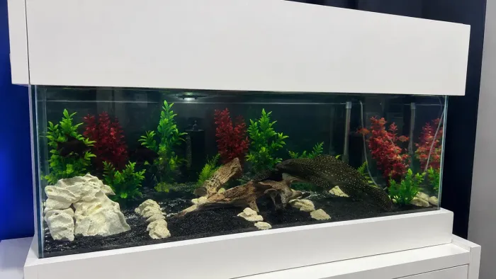 Vendo Aquário 20 Litros