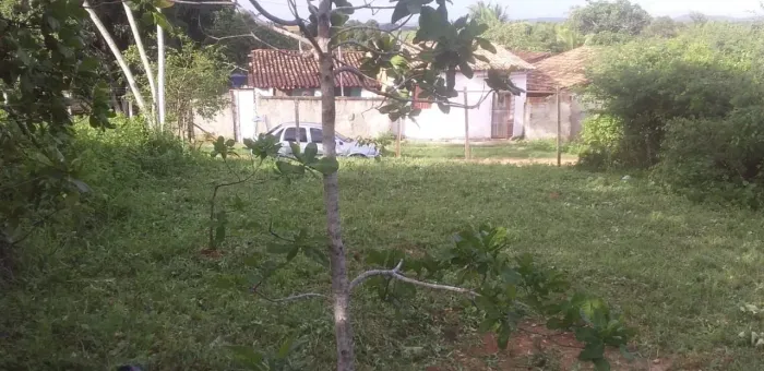 Vendo terreno