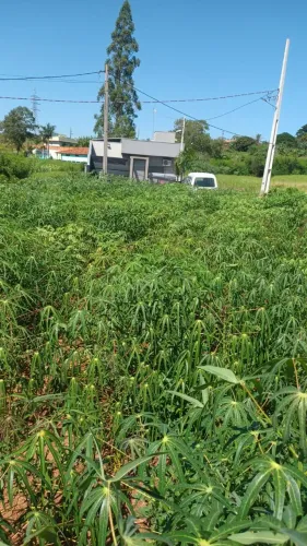 Chácara de 1000 mts em Astorga