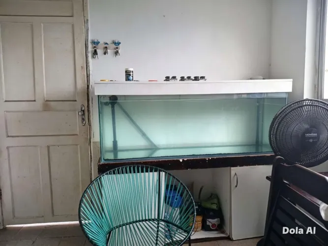 Aquário com peixe