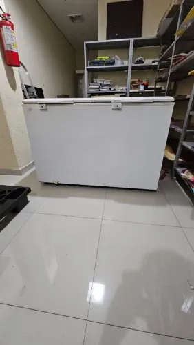 Freezer Electrolux