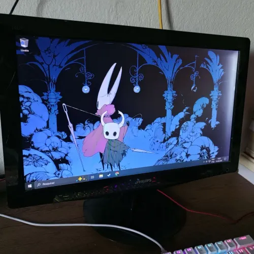 Monitor Philips 196l