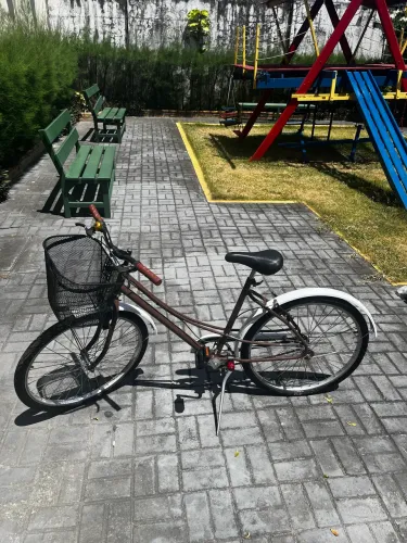 Bicicleta 17