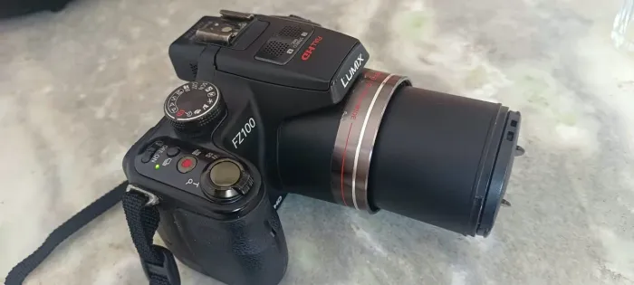 Panasonic Lumix FZ100