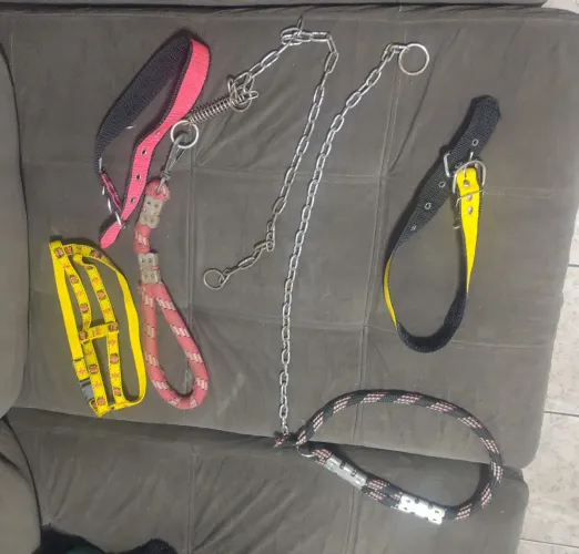 Coleira, guia e cone R$ 30,00