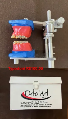 typodont
