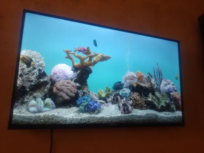 Smart tv Semp Toshiba 43