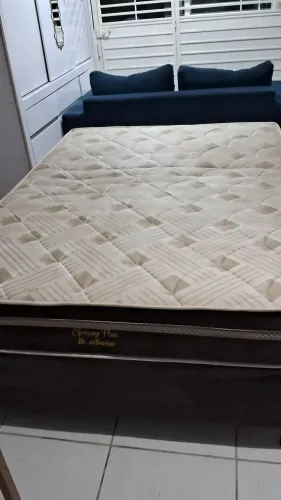 Cama spring flex