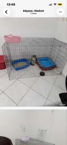 Vendo gaiola