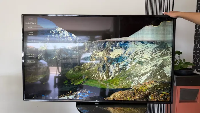 Tv LG 55 - retirada de peças