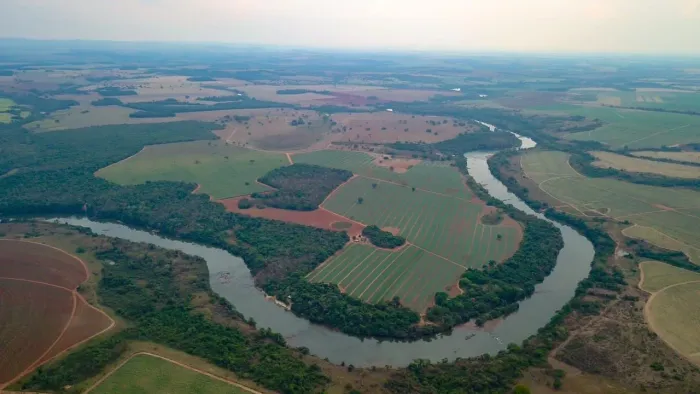 Fazenda à Venda 98.5 alq região de Itapaci GO