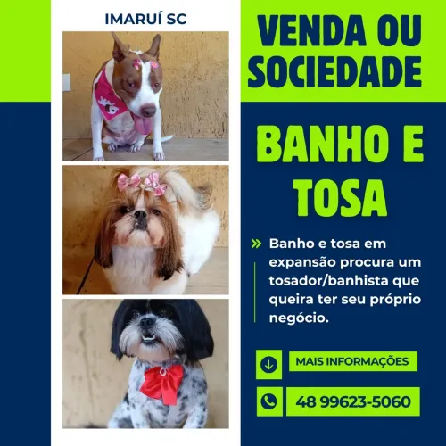 Banho e tosa R$ 10 mil