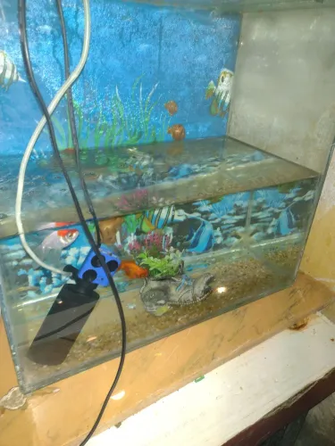 Aquário completo com tudo 100