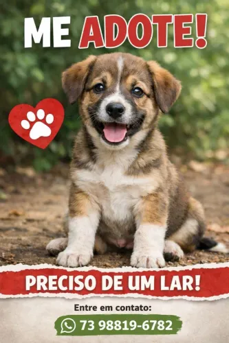 Adoção de cachorro