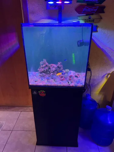 Aquário marinho completo 125 l cubo