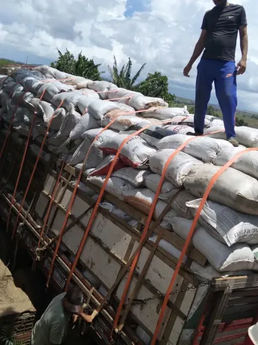 Vende se cama de galinha