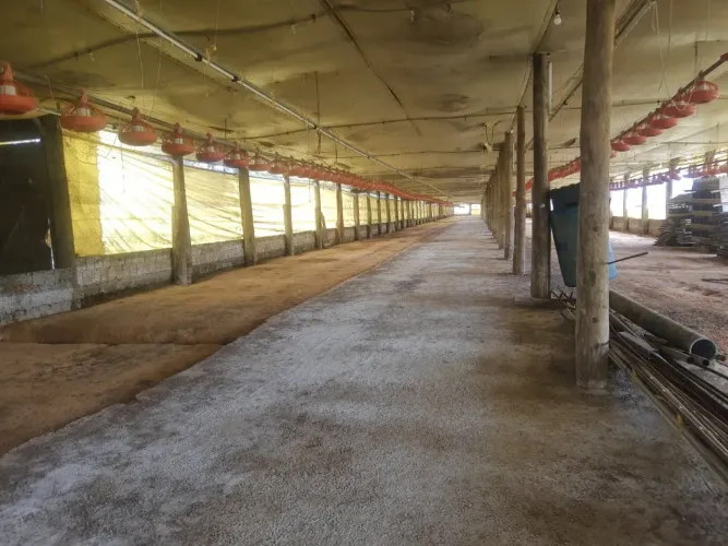 VENDO TROCO GRANJA REGIAO  ITAPETININGA CAPACIDADE 70.000 AVES (032)