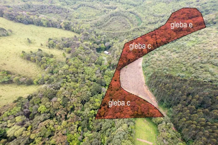 Chácara com 20.000 m² em Balsa Nova | Gleba C