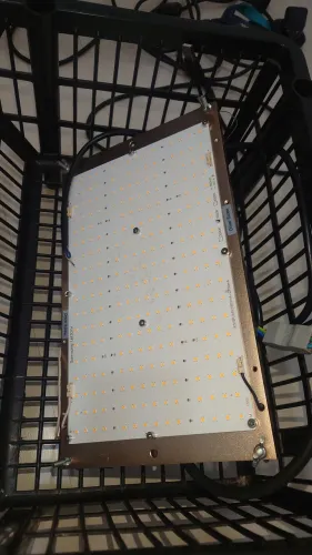 Lâmpada para grow. 150 w. Vega e flora. Quantum board. Excelente estado. Acompanha ventoin