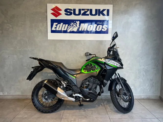 Kawasaki Versys-X 300