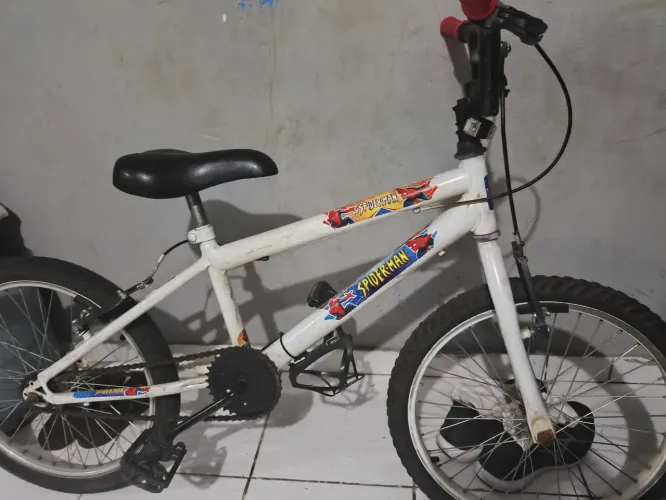 Bicicleta infantil aro 20