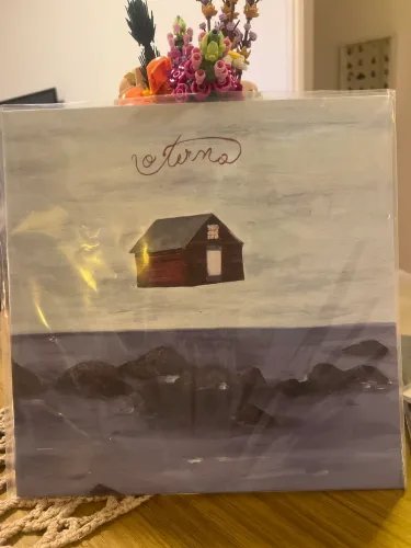 Vinil LP - O terno (Noize)
