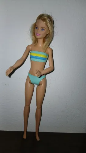 Bonecas barbies e acessorios