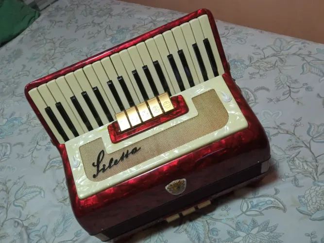 Desapego desta acordeon bem conservada