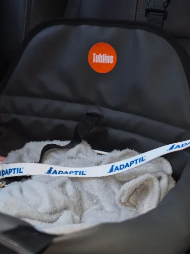 Assento de carro para cachorro 