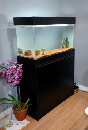 Vende-se AQUÁRIO 200 LITROS COM MÓVEL