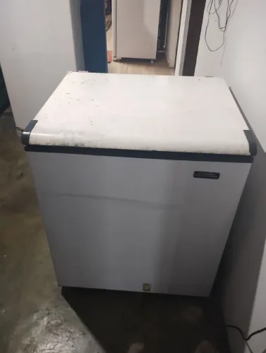 Freezer Esmaltec 230 litros .