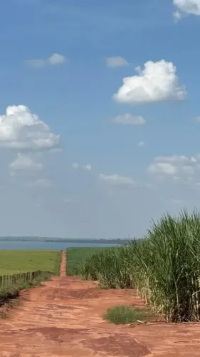 FAZENDA DE CANA À VENDA ILHA SOLTEIRA/SP | 166 ALQUEIRES | MARGENS DO RIO PARANÁ