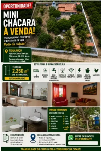 Mine chácara a 300 metros da BR 116 Norte