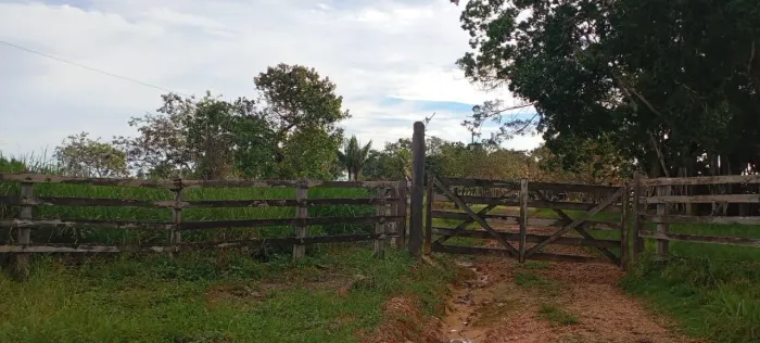 Vendo fazenda em Altamira PA