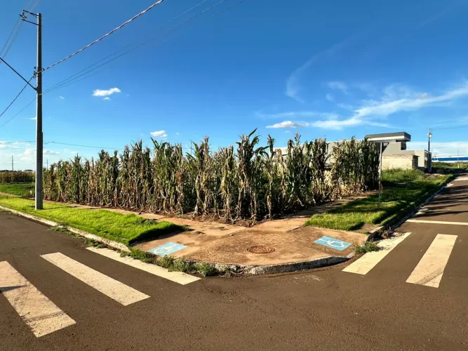 Terreno de esquina em Cafelândia