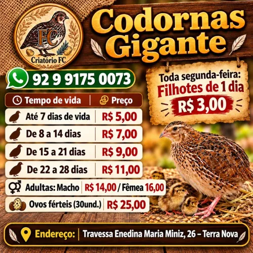 Codorna gigante a partir de R$ 3,00