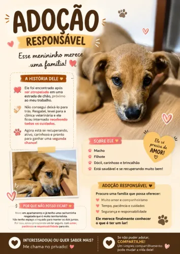 Doação - filhotinho resgatado