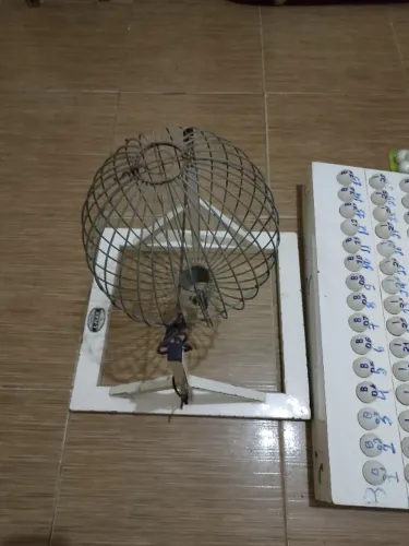 bingo