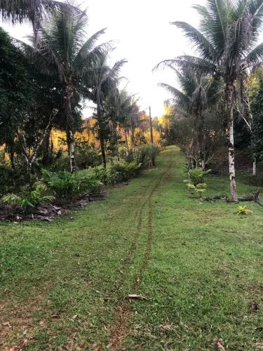 Vendo sítio produtivo em Serra Grande/Urucuca BA