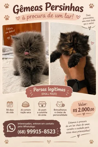PERSAS DISPONÍVEIS